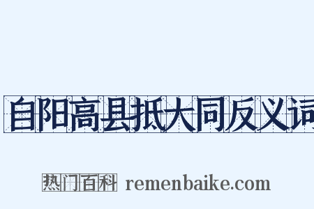 自阳高县抵大同反义词是什么意思的图片